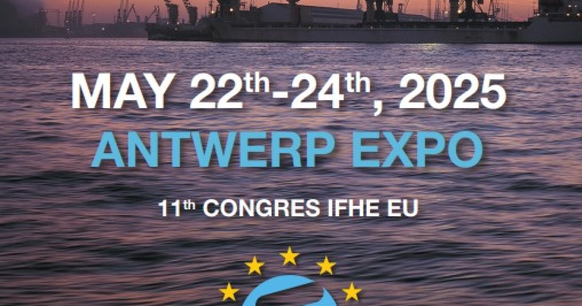 Over 11th Congress IFHEEU Antwerp 2025